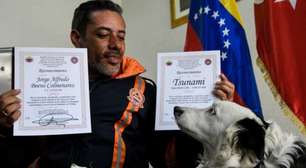 'Tsunami': Conheça cão resgatado das ruas e que ajudou no resgate de vítimas do terremoto na Venezuela