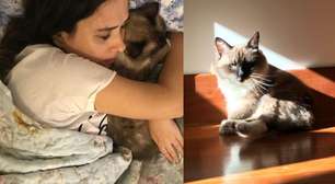 Tata Werneck lamenta morte de Chico, seu gato, e abre o coração: 'Partiu cheio de amor'