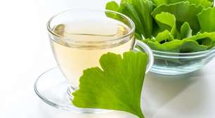Ginkgo biloba funciona mesmo? O que a ciência realmente diz