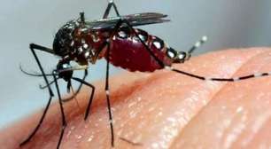 Duas crianças morrem com suspeita de dengue grave na Paraíba