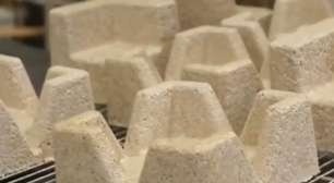 Como fungos estão permitindo "cultivar" tijolos e casas sustentáveis no futuro