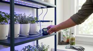 Quanto custa montar mini horta automatizada em casa em 2026 preços, kits e valores reais