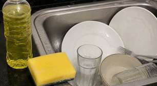 Esponja de Cozinha: Por que ela acumula mais bactérias que o banheiro?