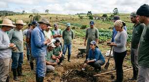Joinville oferece cursos gratuitos para produtores rurais em julho