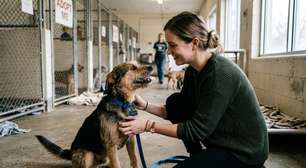 Hortolândia promove adoção gratuita de cães e gatos; veja como adotar