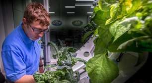 Má notícia para os astronautas: alface cultivado no espaço é mais propenso a causar doenças