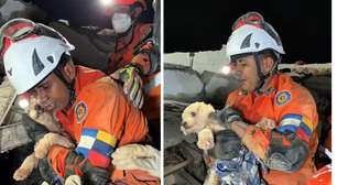 Cachorrinha é resgatada com vida 5 dias após terremotos devastarem a Venezuela
