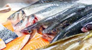 Do salmão ao bacalhau: descubra o que torna os peixes de águas frias tão importantes para uma alimentação equilibrada