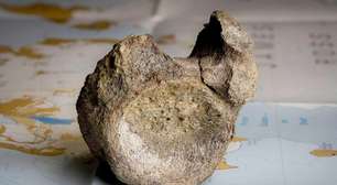 Cientistas descobrem que osso guardado em gaveta há anos é, na verdade, primeiro fóssil de dinossauro encontrado na Antártica