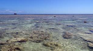 Recorde de calor nos oceanos em junho pode se repetir nos próximos meses, alerta Copernicus