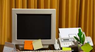 Nos anos 1990, muitas pessoas tinham um cacto ao lado do computador. Não era para decorar, mas sim para se proteger da radiação