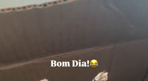 Fãs presenteiam Ana Castela com coelha e geram polêmica na web
