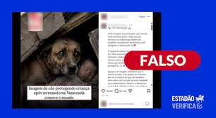 Foto em que cão protege bebê após terremoto na Venezuela foi gerada com IA