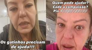 Dona de ONG de proteção animal é presa por suspeita de maus-tratos; gatos foram encontrados em freezer