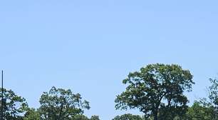 Seleção Brasileira treina sem Rayan e sob sensação de 45ºC nos EUA