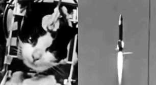 Antes da cadela Laika, uma gata francesa chegou ao espaço; saiba o que aconteceu com ela