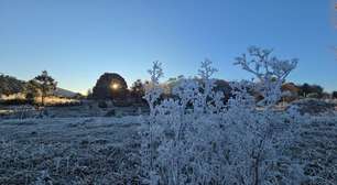 Massa de ar frio derruba temperaturas e Sul tem alerta para geadas; veja previsão