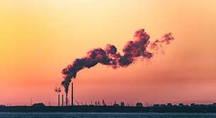 Como reduzir a pegada de carbono no dia a dia com atitudes simples