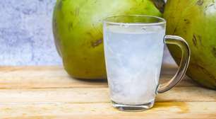 Água de coco ganha espaço no consumo saudável no Brasil