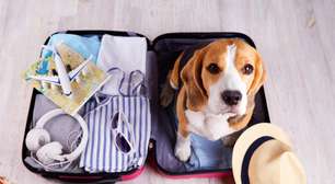Como viajar com pets: dicas para uma experiência tranquila