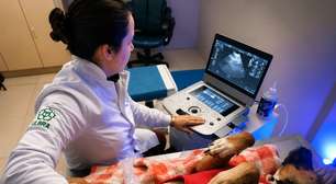 Ulbra investe R$ 800 mil em Hospital Veterinário e amplia excelência no atendimento aos animais e na formação acadêmica