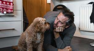 Nosso cachorro nos obedece melhor quando estamos felizes do que quando estamos tristes