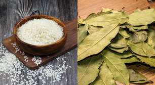 Folha de louro no arroz: saiba como ela ajuda a preservar alimentos