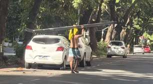 Homem é preso após furtar poste com fios de cobre e vender por R$ 17 no Recife