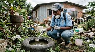 Dourados supera 4,8 mil casos confirmados de chikungunya