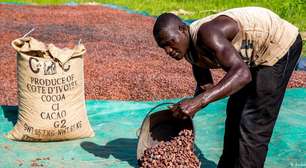 Volatilidade do preço do cacau afeta renda de milhões de produtores na África