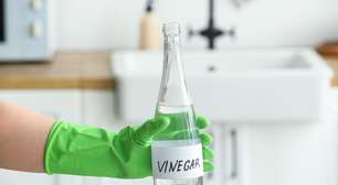 O truque com vinagre que deixou meu vaso sanitário impecável sem produtos químicos