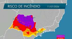 Defesa Civil alerta para risco de incêndios devido ao tempo seco durante o feriado em SP
