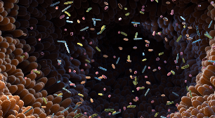 Microbiota humana: entenda como os microrganismos do corpo influenciam a saúde