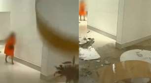 Lustre desaba e quase atinge moradora em condomínio em Goiânia