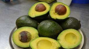 Caroço de abacate: 5 formas criativas de reaproveitar com segurança