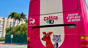 Castra Mais RJ chega a Bangu com castração gratuita para cães e gatos