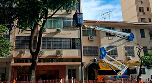 Programa Corredores Verdes faz manejo de árvores, em São Conrado, neste fim de semana