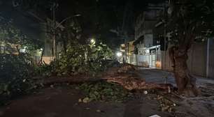 Fortes ventos provocam quedas de árvores em diversos bairros do Rio