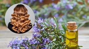 Óleo de alecrim para o cabelo: benefícios, como usar e o que diz a ciência