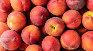 Saiba como plantar pêssego a partir do caroço
