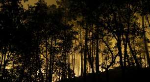Incêndio destrói floresta de Fontainebleau, a 60 km de Paris, e pode ter origem criminosa