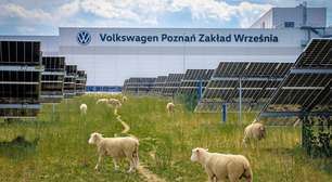 Volkswagen colocou rebanho de ovelhas para pastar sob painéis solares e descobriu que isso estava mudando a forma como a energia é produzida
