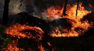 Fontainebleau: incêndio florestal nos arredores de Paris já consumiu mais de 2 mil hectares