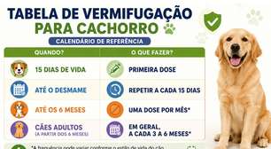 Quando foi a última vez que seu cachorro tomou vermífugo? Veja a tabela