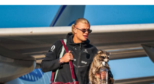 O que significa a técnica milenar de taxidermia usada no guaxinim do jogador de futebol Erling Haaland e por que esse animal inesperado esgotou nas lojas texanas