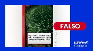 Vídeo noturno de centenas de jacarés no Rio Amazonas foi criado por IA