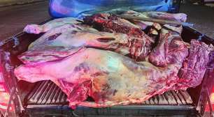 PRF apreende em Garanhuns 800 kg de carne sem condições de higiene que seria vendida no Recife