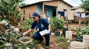 Dourados zera novos casos confirmados de chikungunya, mas mantém alerta de epidemia