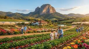 A cidade do morango que também produz 25% de todas as flores comercializadas no Brasil