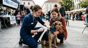 Itabuna inicia vacinação antirrábica para cães e gatos; veja calendário